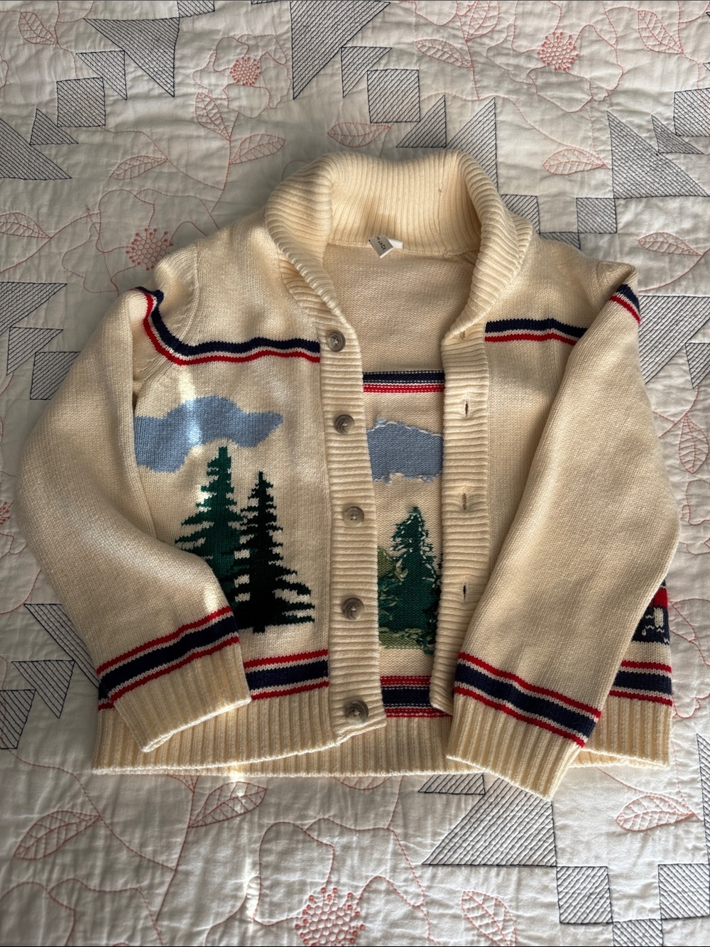 Janie and Jack Train  Cardigan